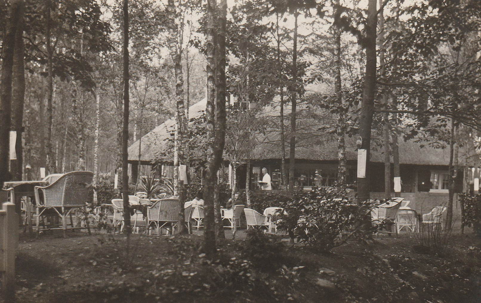 theehuis in de Dennen